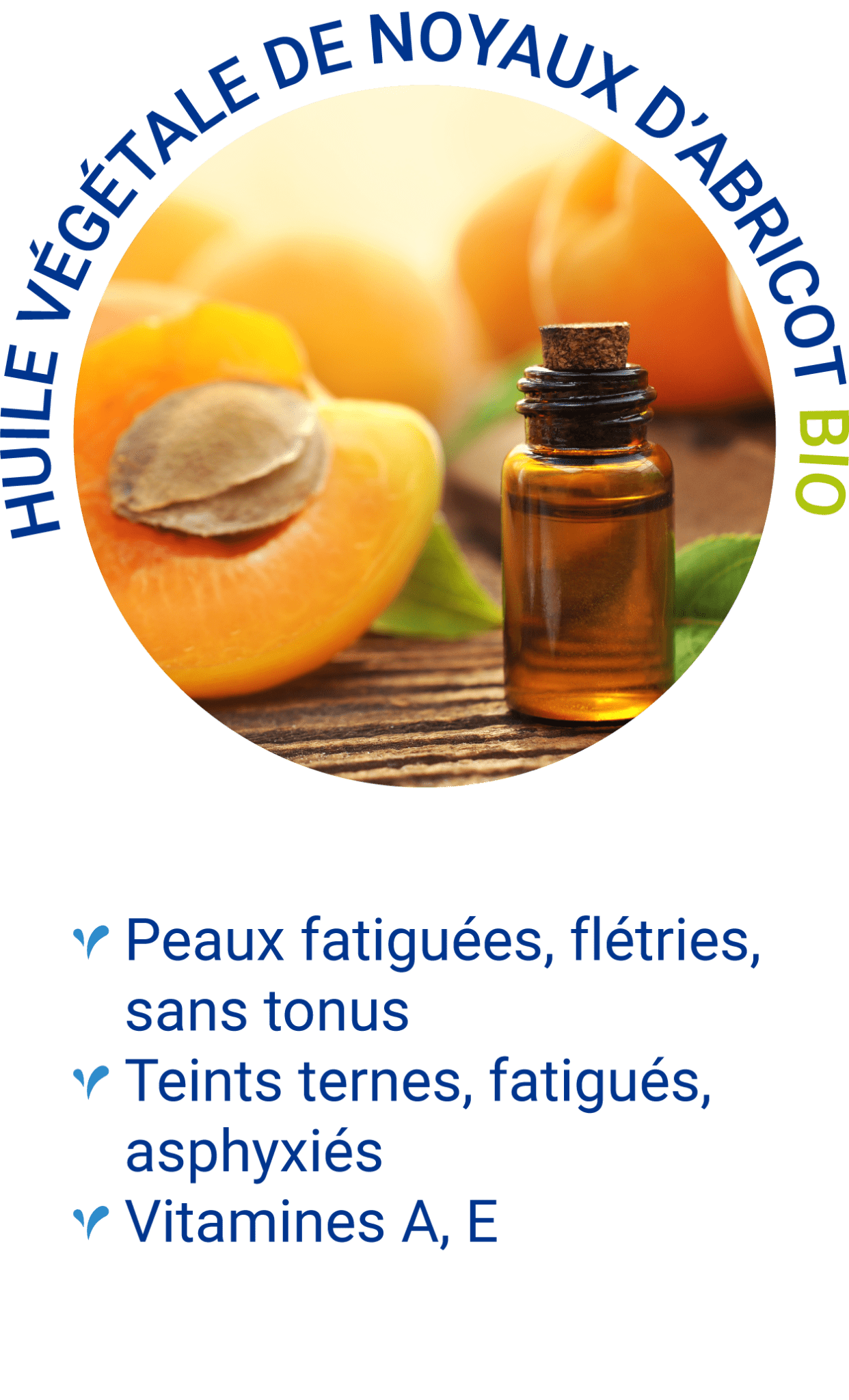 Huile Végétale de noyaux d'abricot bio