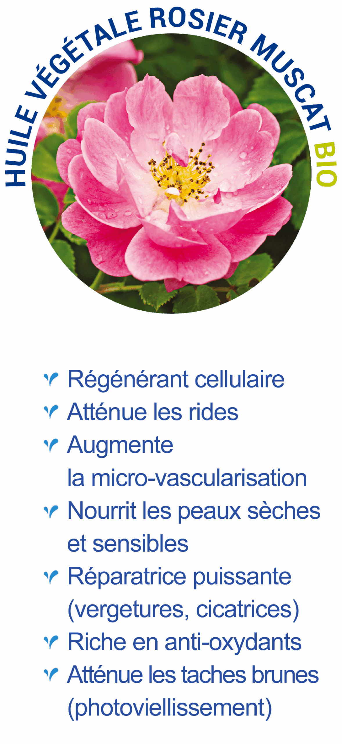 Rosier Muscat